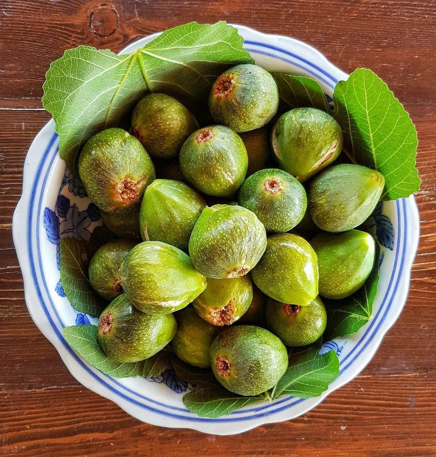 리파리 Casa Masaria 아파트 외부 사진